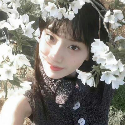 狂赌之渊第二季2019